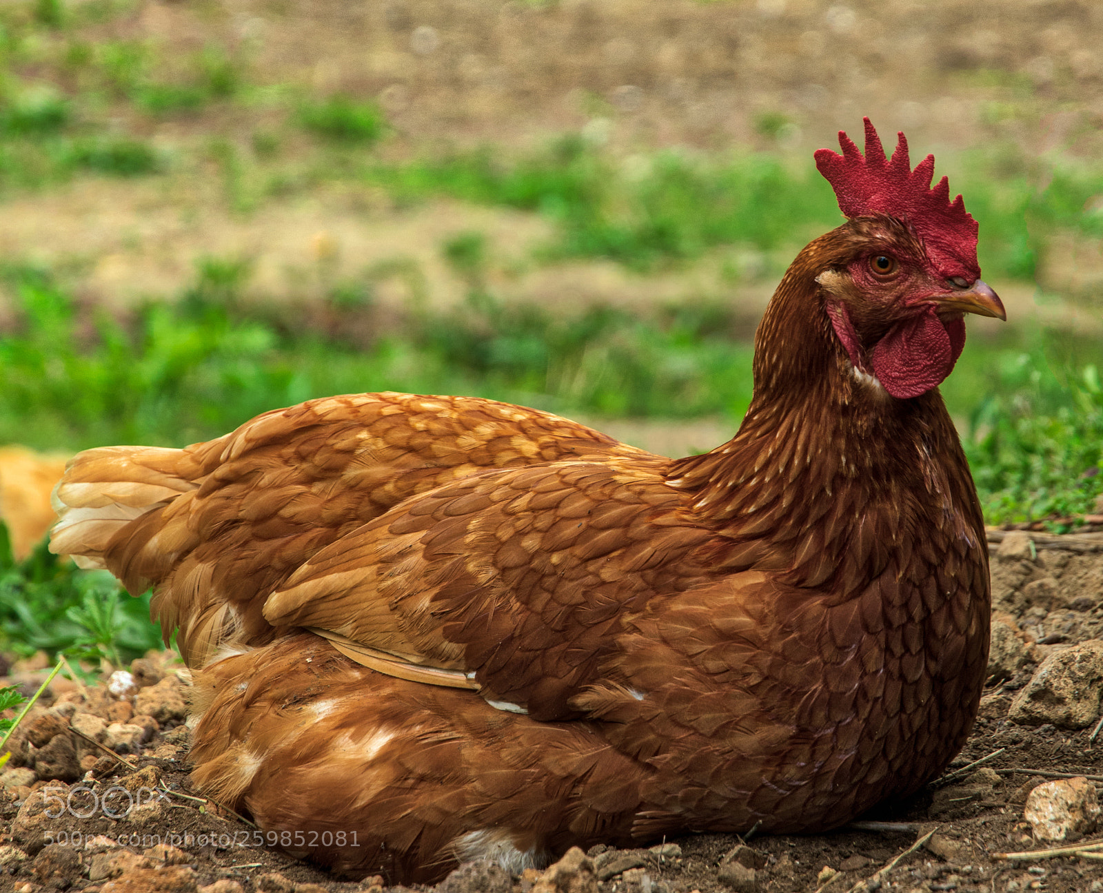 Pentax K-3 II sample photo. Coeur d'alene photography