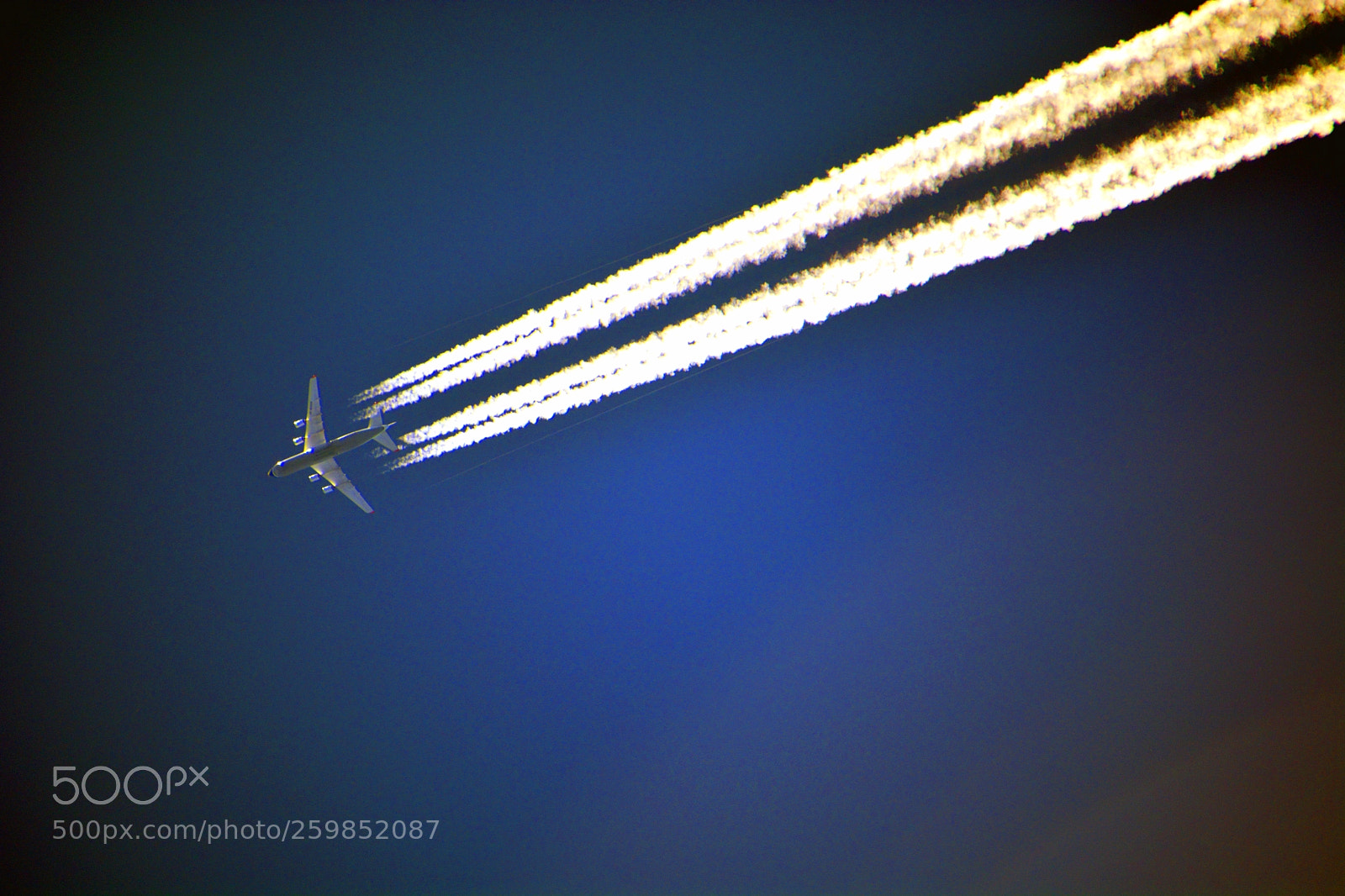 Nikon D5200 sample photo. Untitled photography