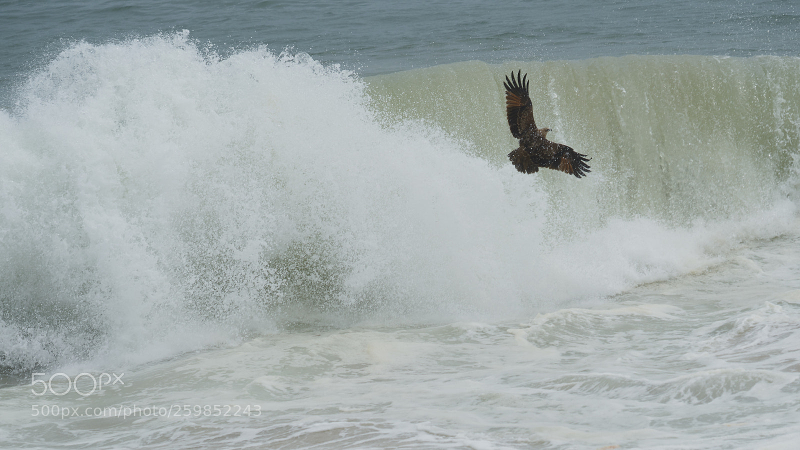 Sony a7R II sample photo. Against the waves photography