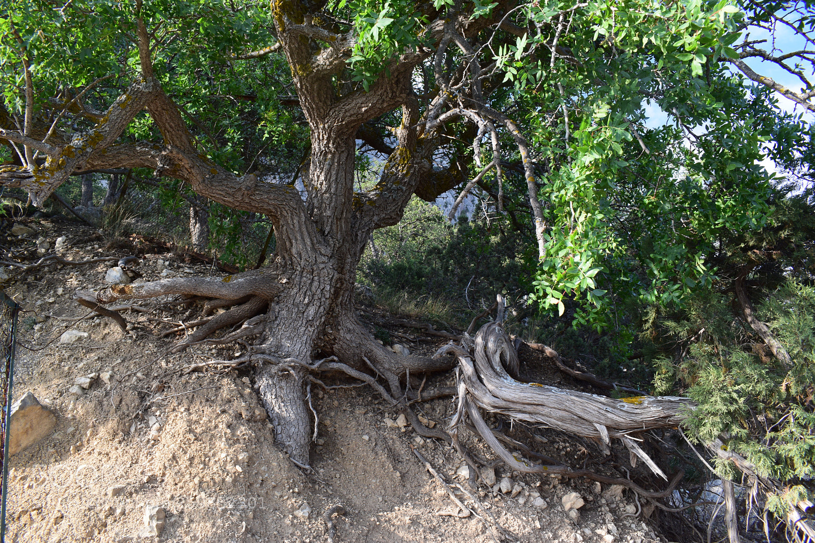 Nikon D5300 sample photo. Dsc photography