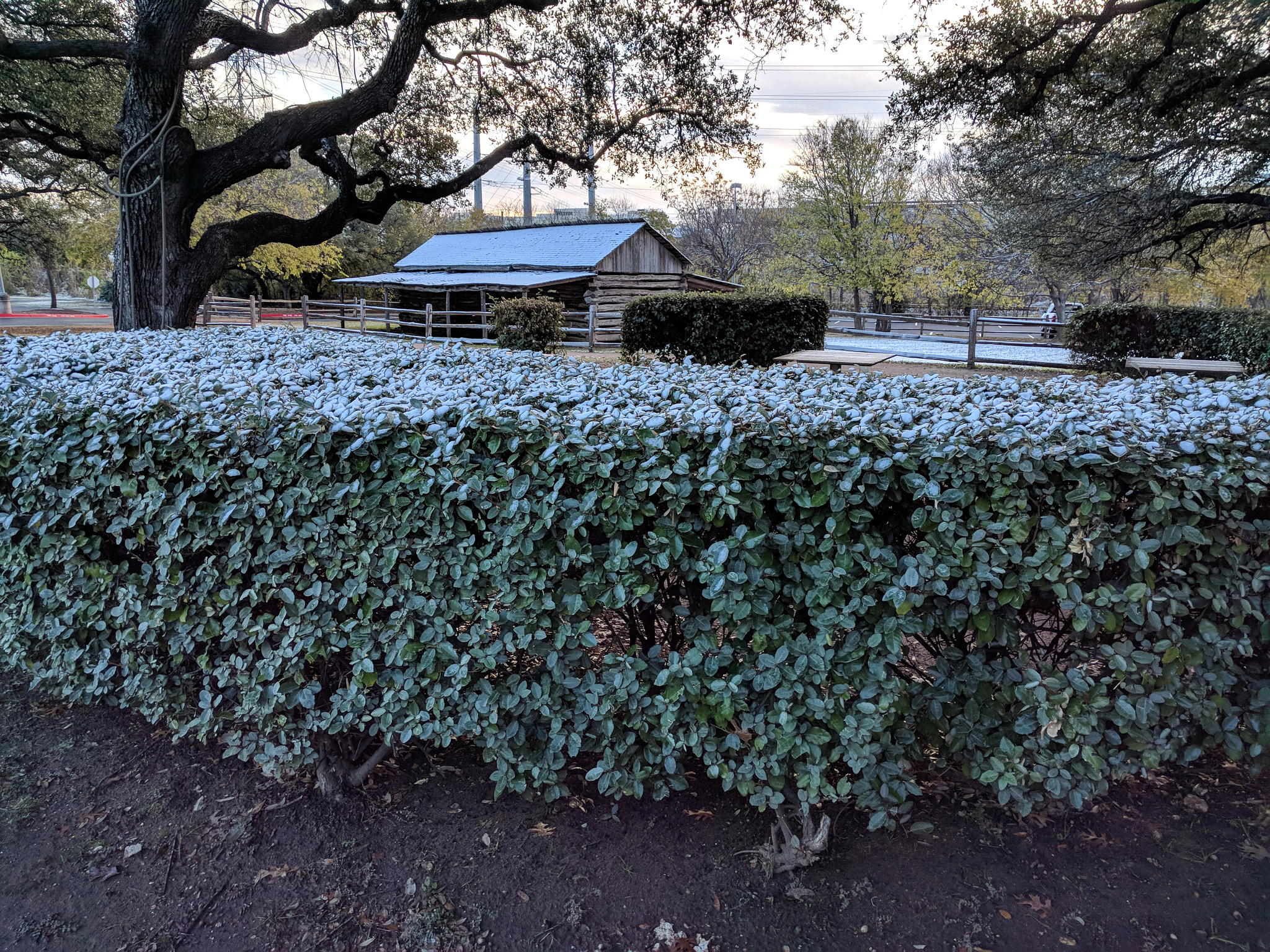 Google Nexus 6P sample photo. Austin snow photography