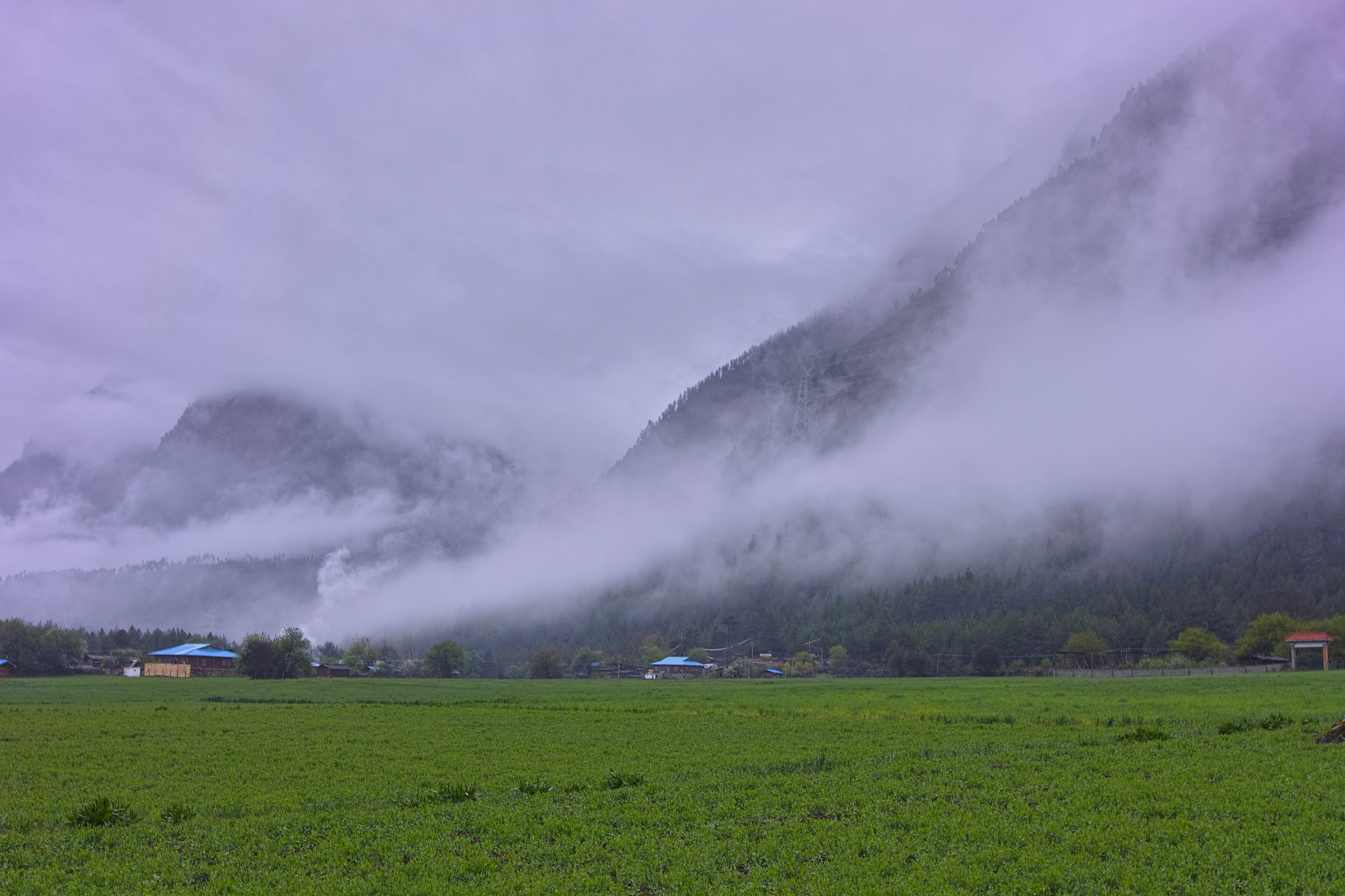 Sigma SD1 Merrill sample photo. Untitled photography