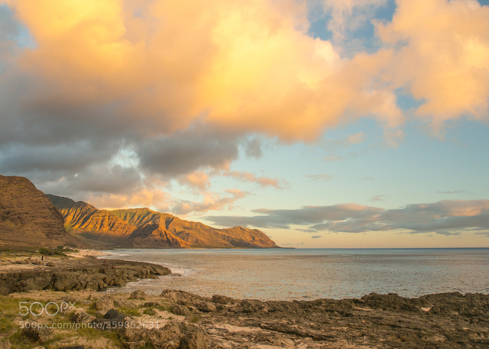 Olympus OM-D E-M5 sample photo. A view from kaena photography