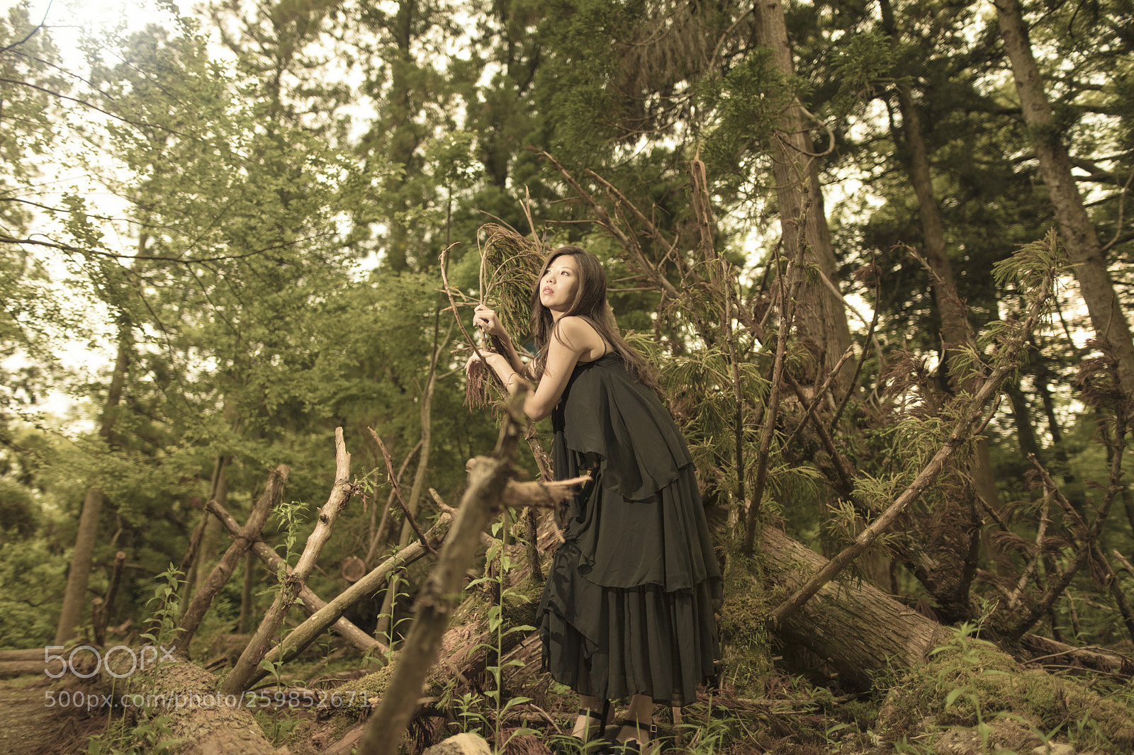 Canon EOS 5D Mark IV sample photo. 「eternal earth」 photography