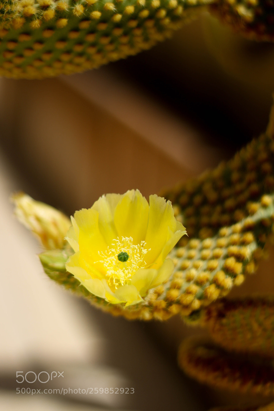 Canon EOS 70D sample photo. Untitled photography