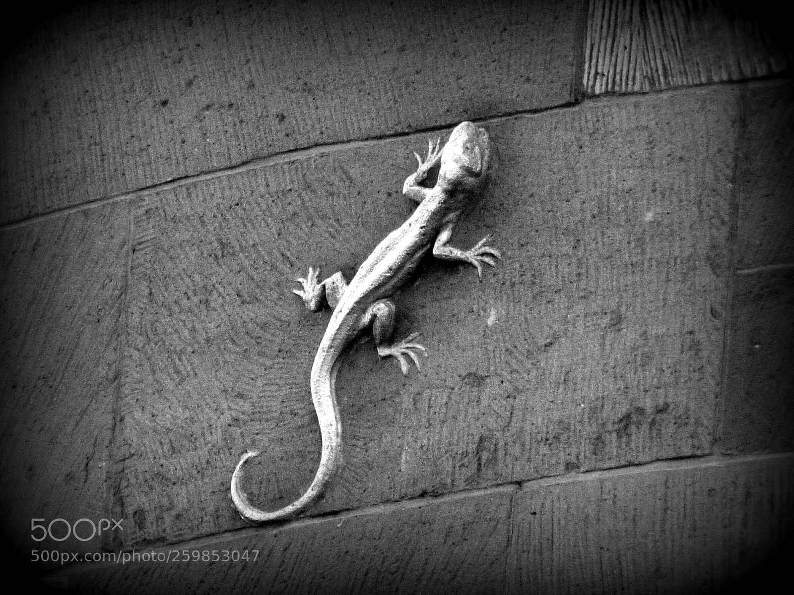 Panasonic Lumix DMC-FZ150 sample photo. Wall motive photography
