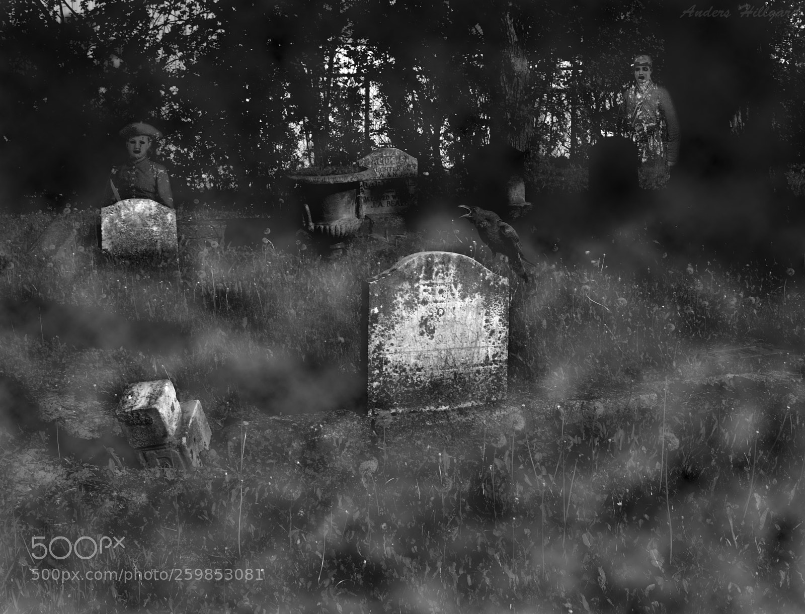 Nikon D3100 sample photo. Nightmare photography