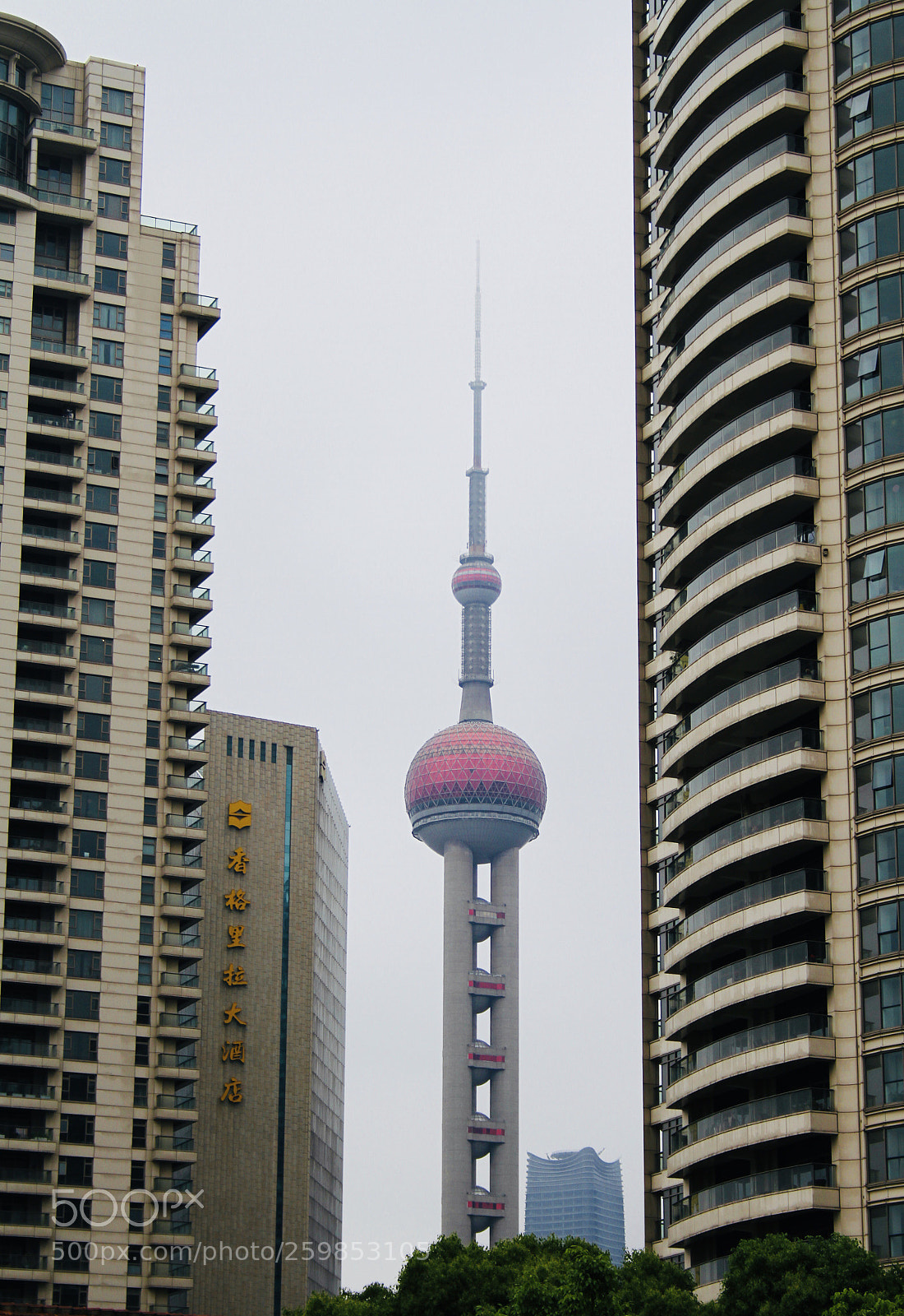 Canon EOS 7D sample photo. Oriental pearl tower photography