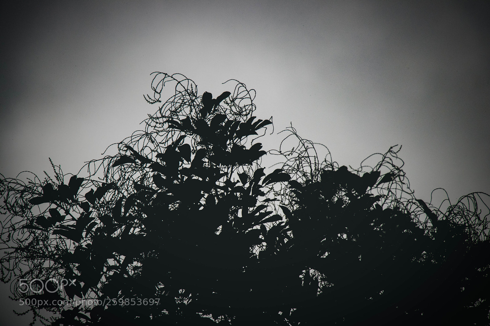 Canon EOS 80D sample photo. Shadow photography