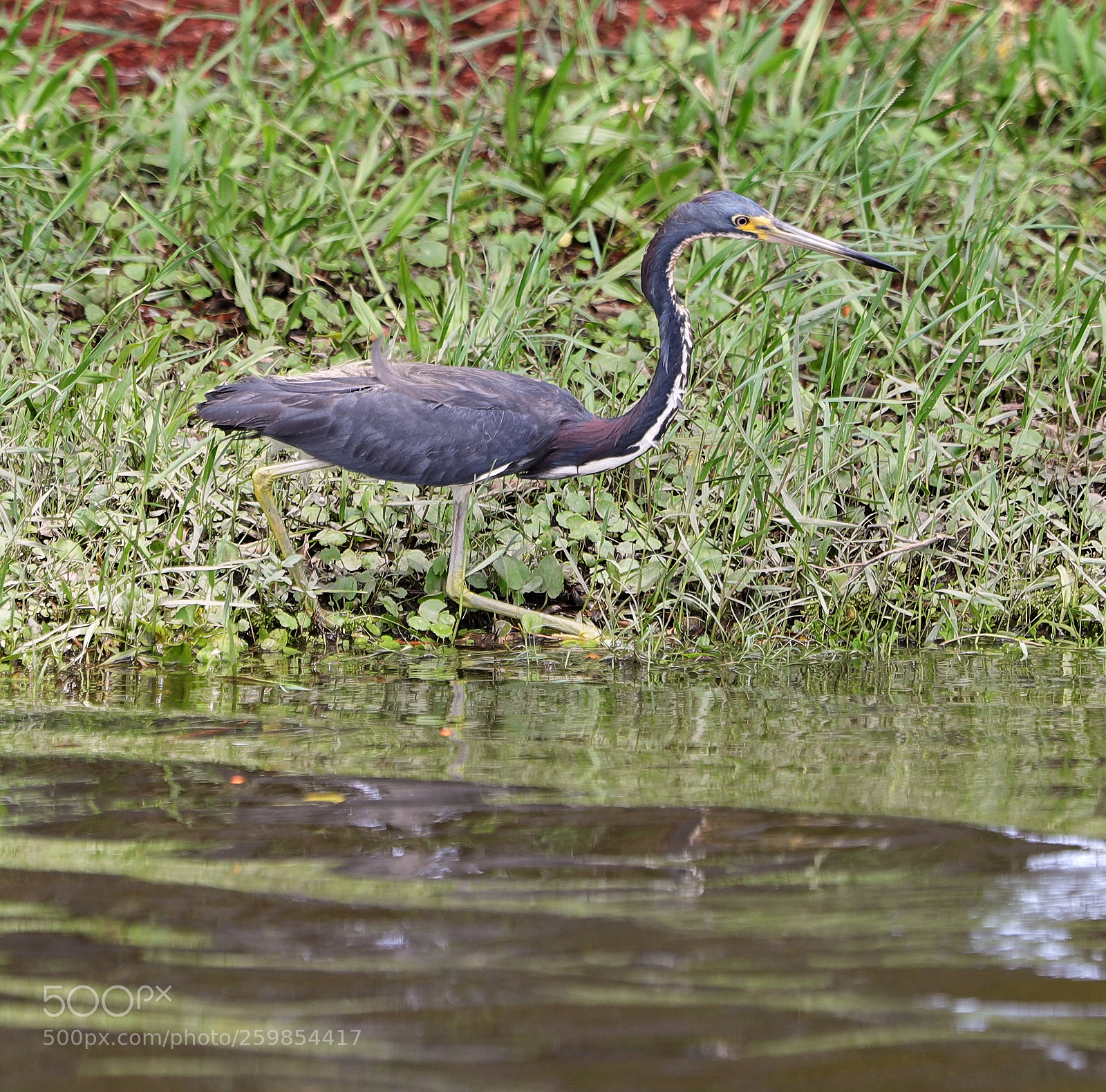 Canon EOS-1D X Mark II sample photo. 05-28-18-0020163.jpg photography