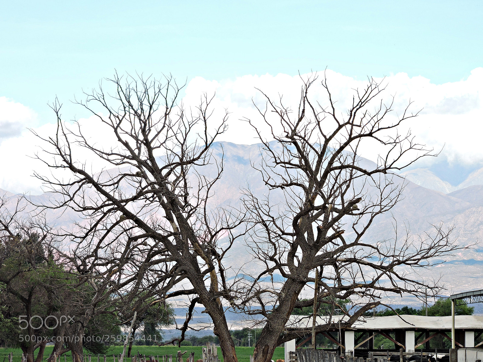 Nikon Coolpix P530 sample photo. Cafayate landscape photography