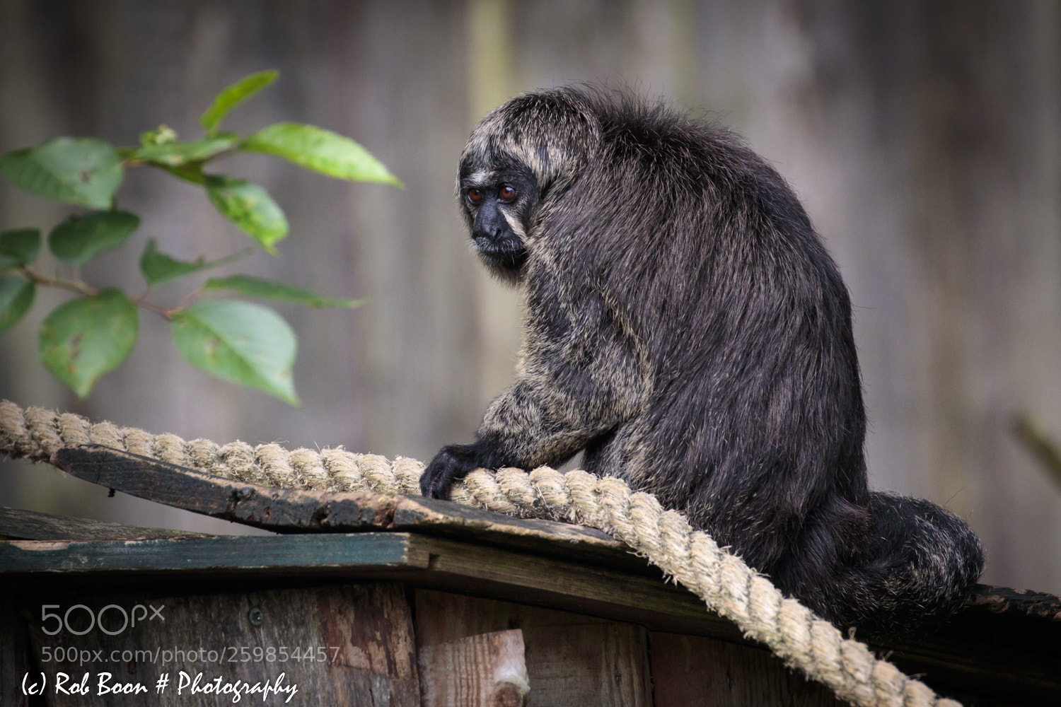 Canon EOS 5DS sample photo. Gloomy mood? photography