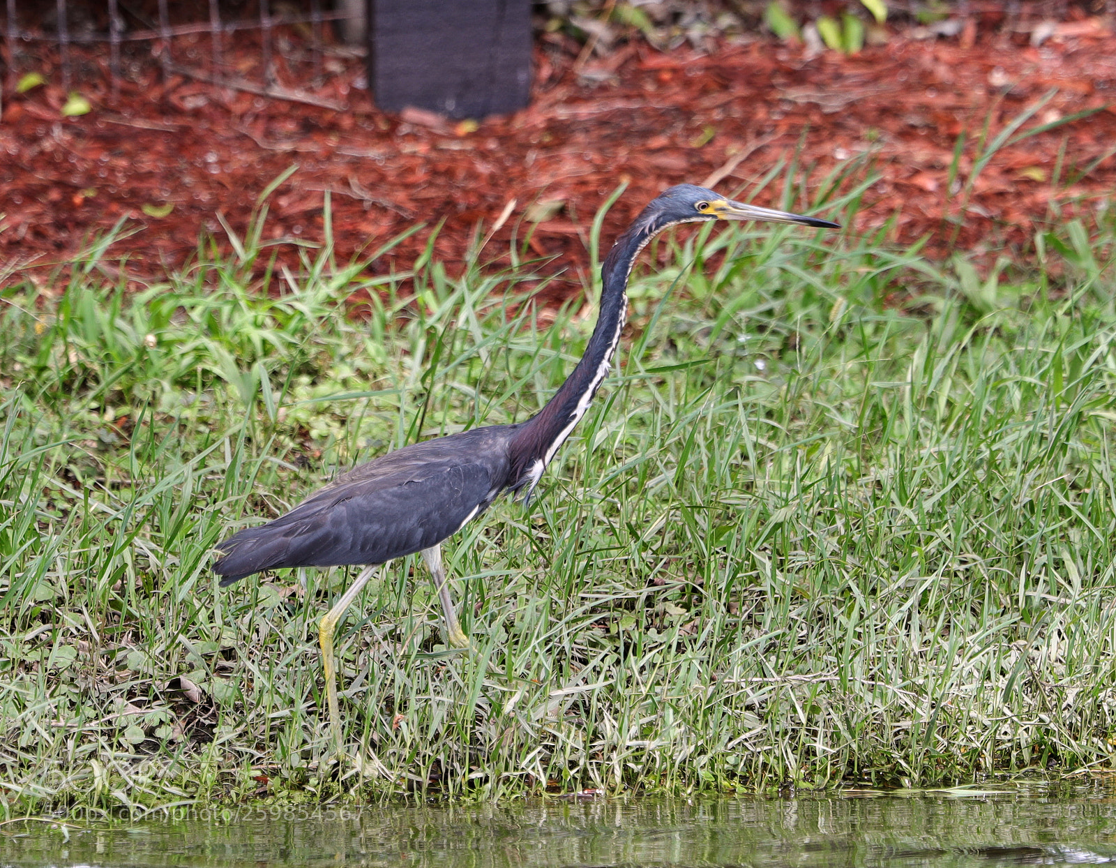 Canon EOS-1D X Mark II sample photo. 05-28-18-0020158.jpg photography