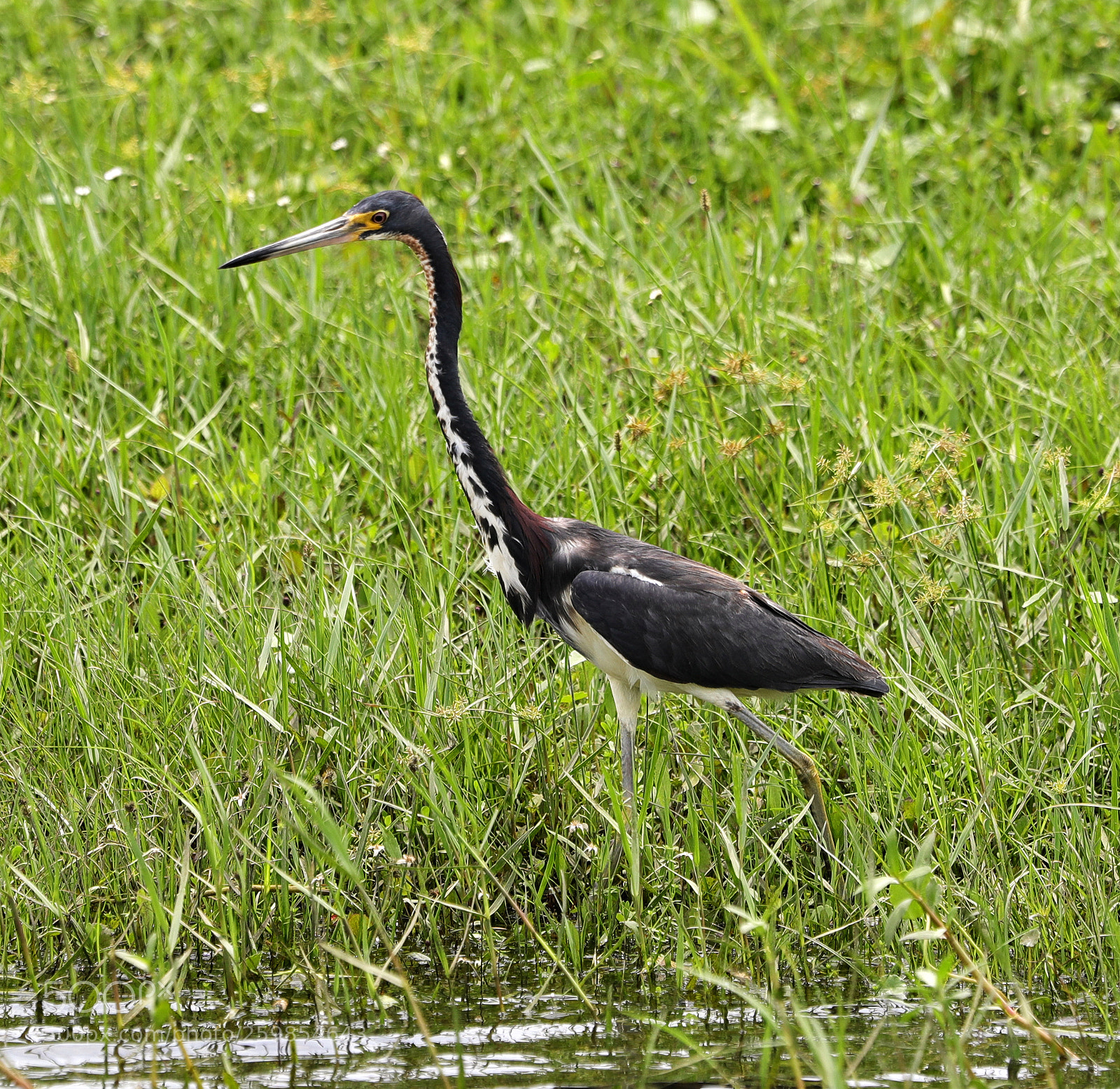 Canon EOS-1D X Mark II sample photo. 05-28-18-0020147.jpg photography