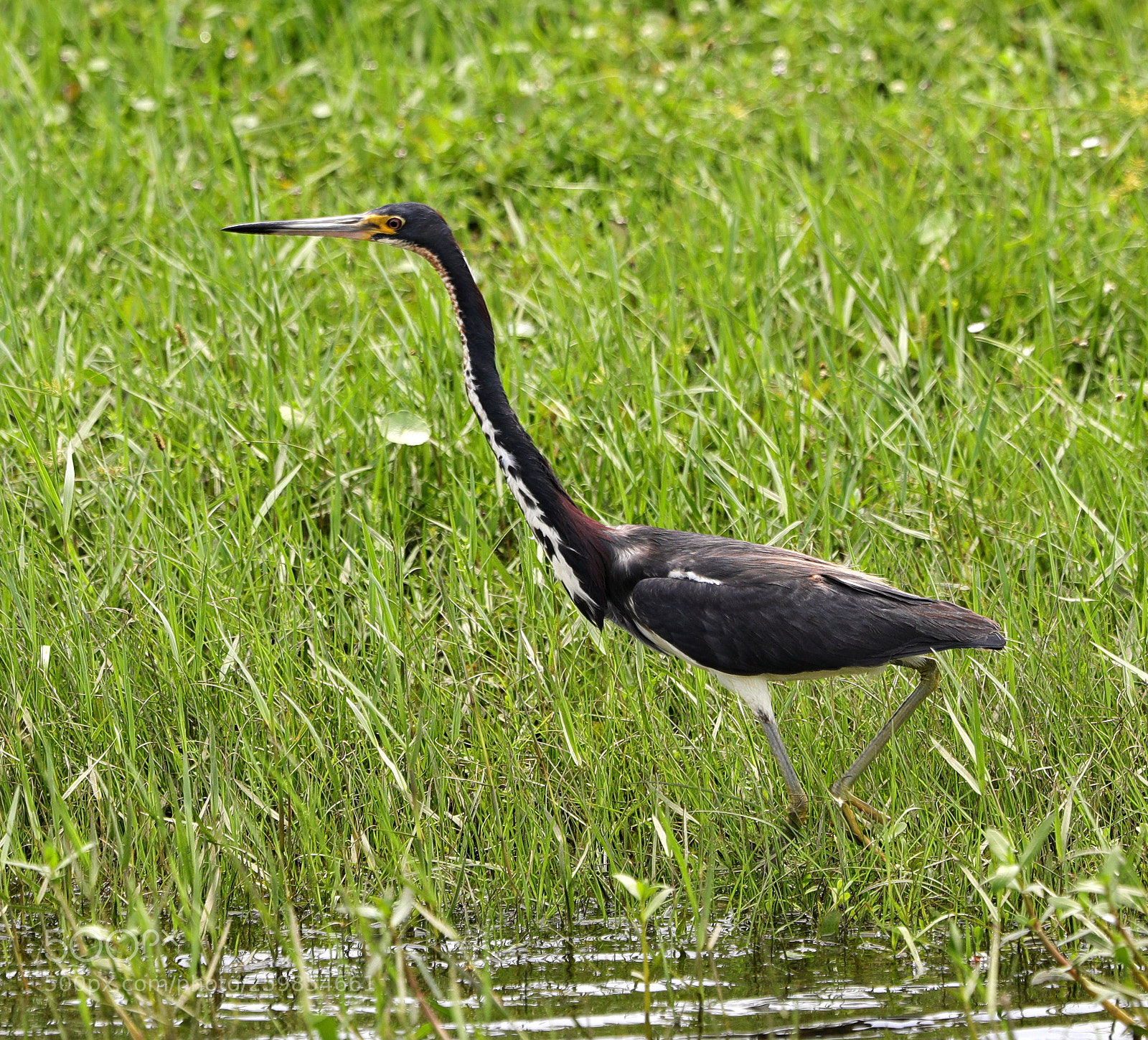 Canon EOS-1D X Mark II sample photo. 05-28-18-0020144.jpg photography