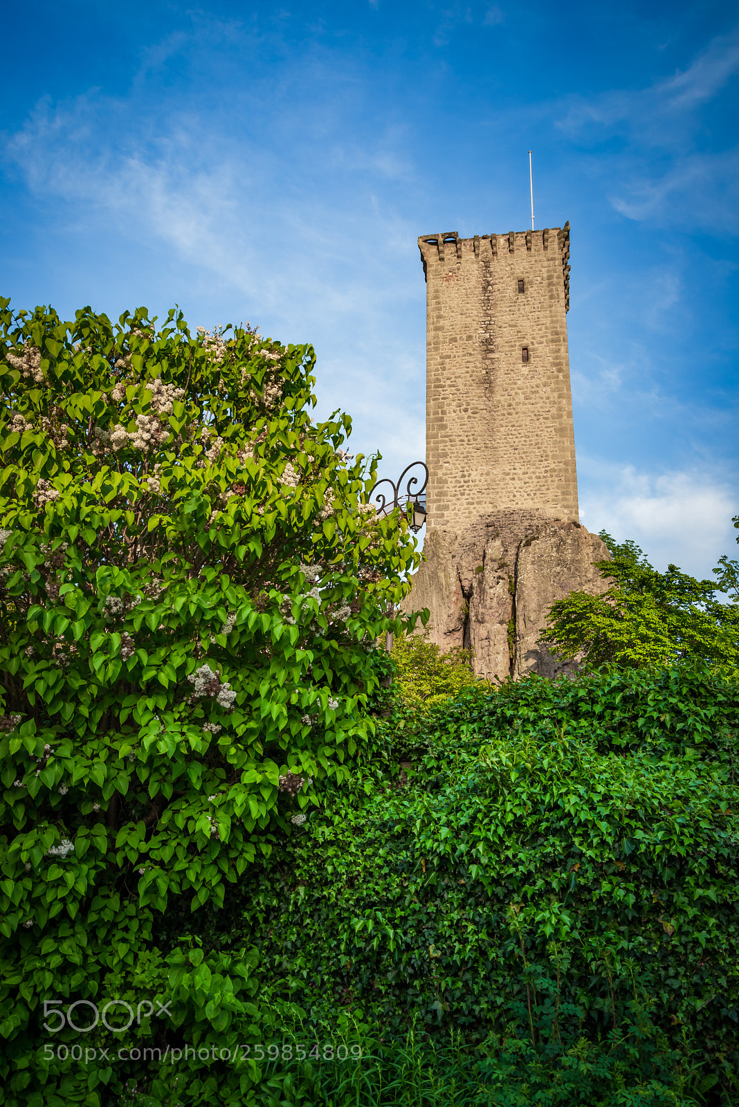 Nikon D610 sample photo. Old tower photography