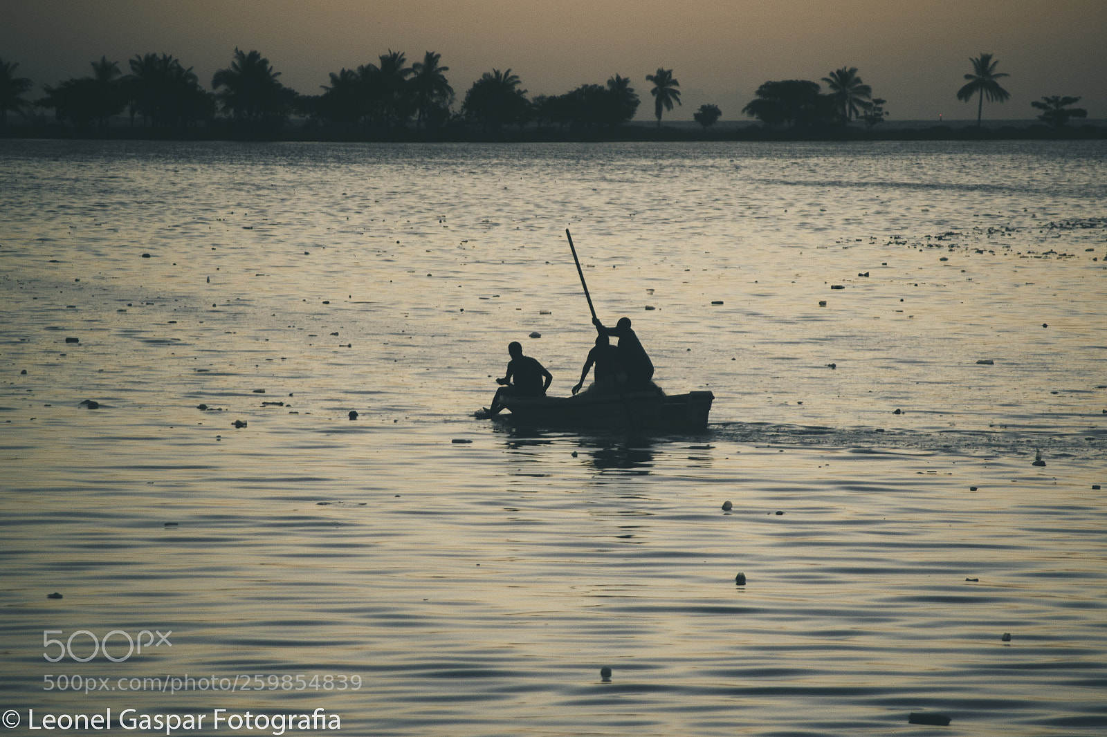Nikon D3100 sample photo. Untitled photography