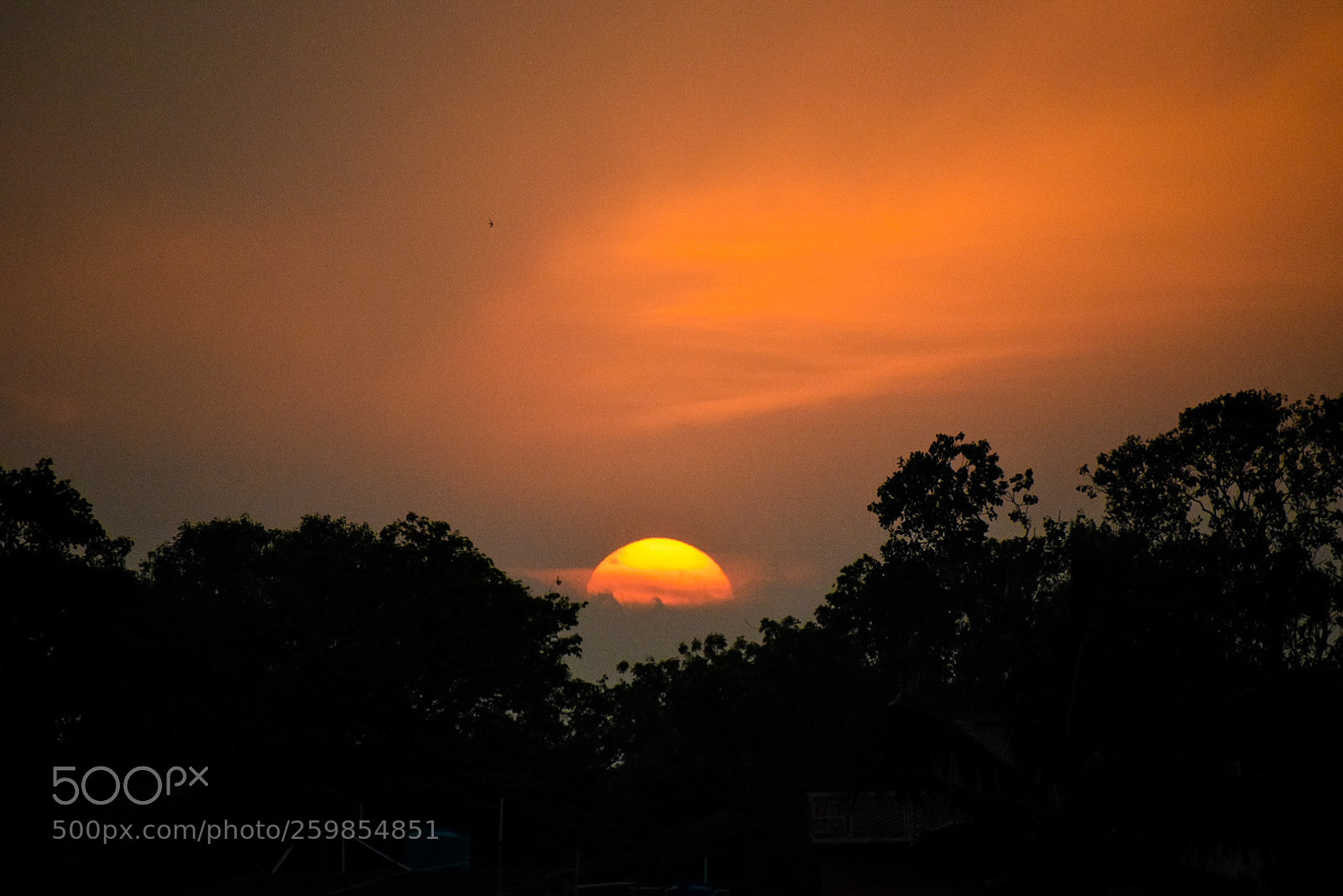 Nikon D5300 sample photo. Untitled photography