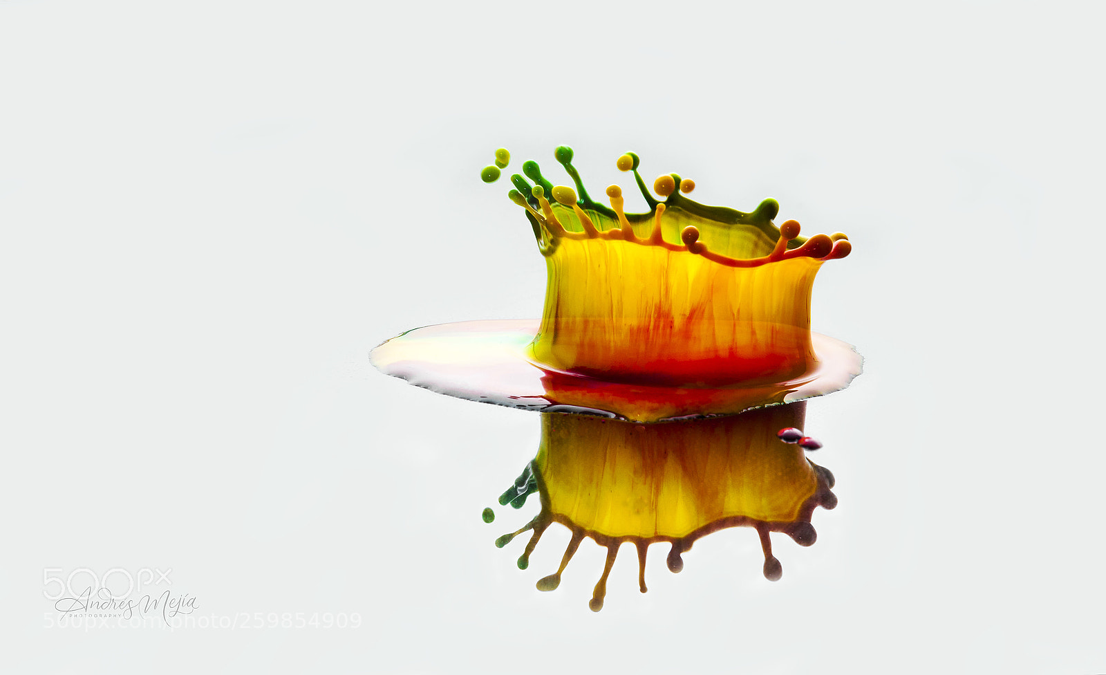 Nikon D810 sample photo. Rainbow drop photography