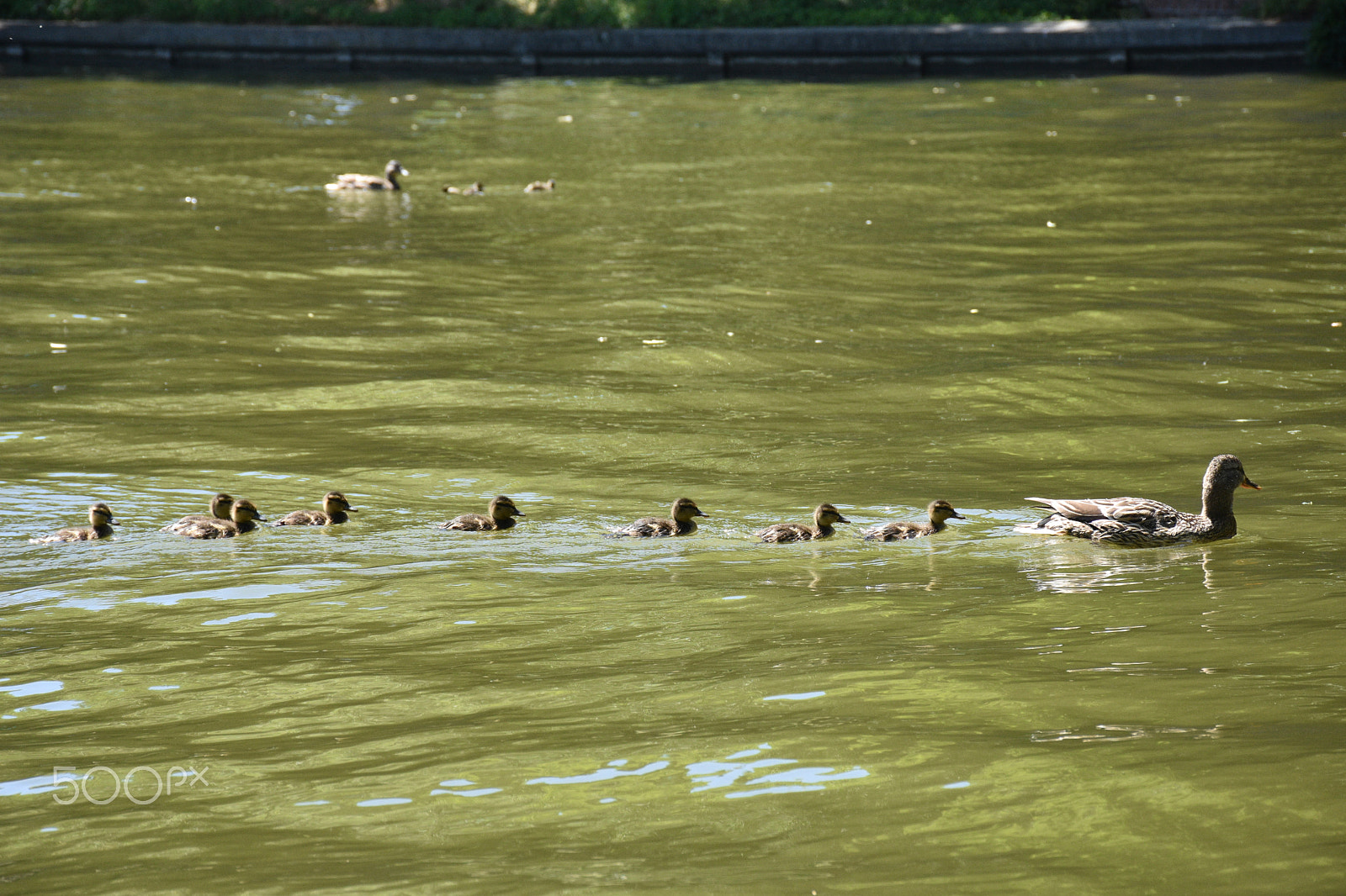 Nikon D7200 sample photo. Dsc photography