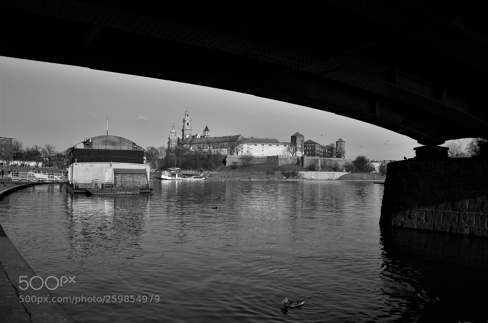 Nikon D5100 sample photo. Under the bridge photography