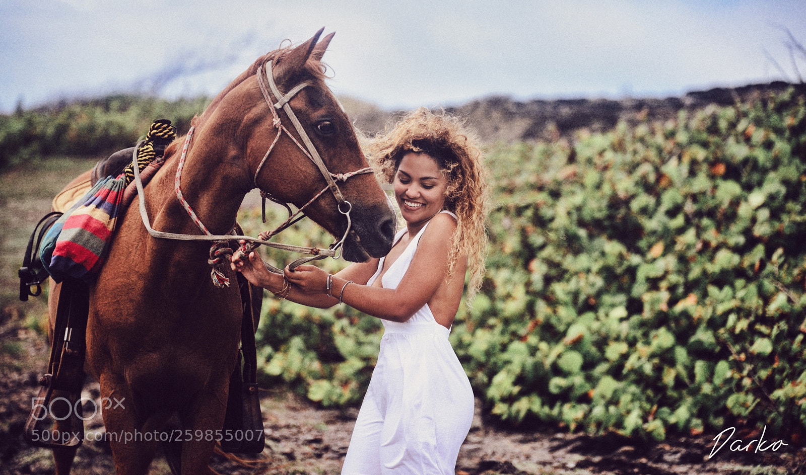 Nikon D750 sample photo. Cheval du cap photography