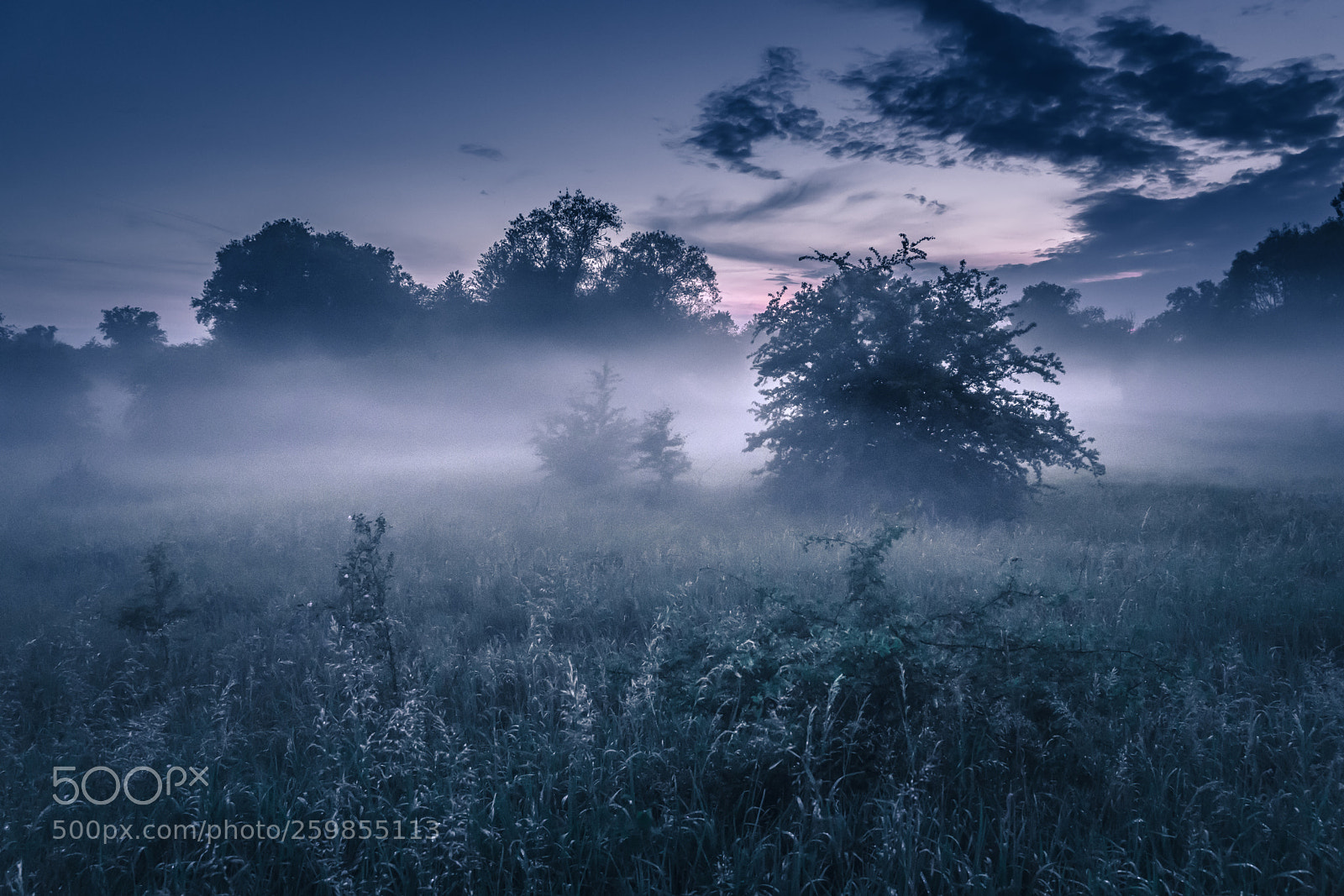 Sony a7R II sample photo. Foggy twitlight photography