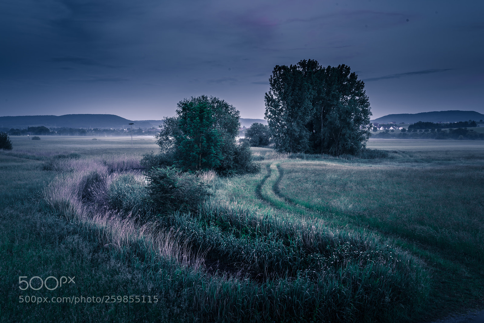 Sony a7R II sample photo. Foggy twitlight photography