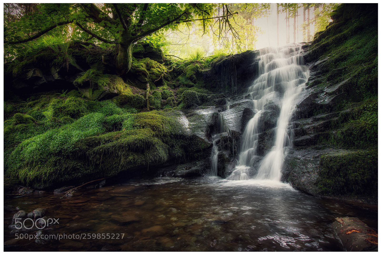 Canon EOS 7D Mark II sample photo. The grotto photography