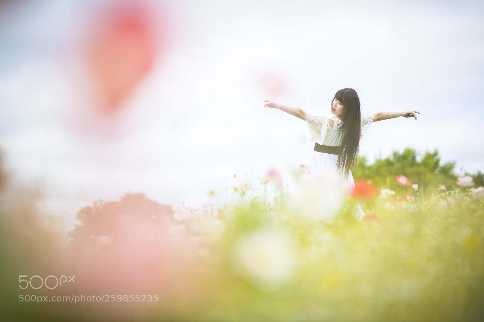 Canon EOS 5D Mark IV sample photo. 「the nutcracker」 photography