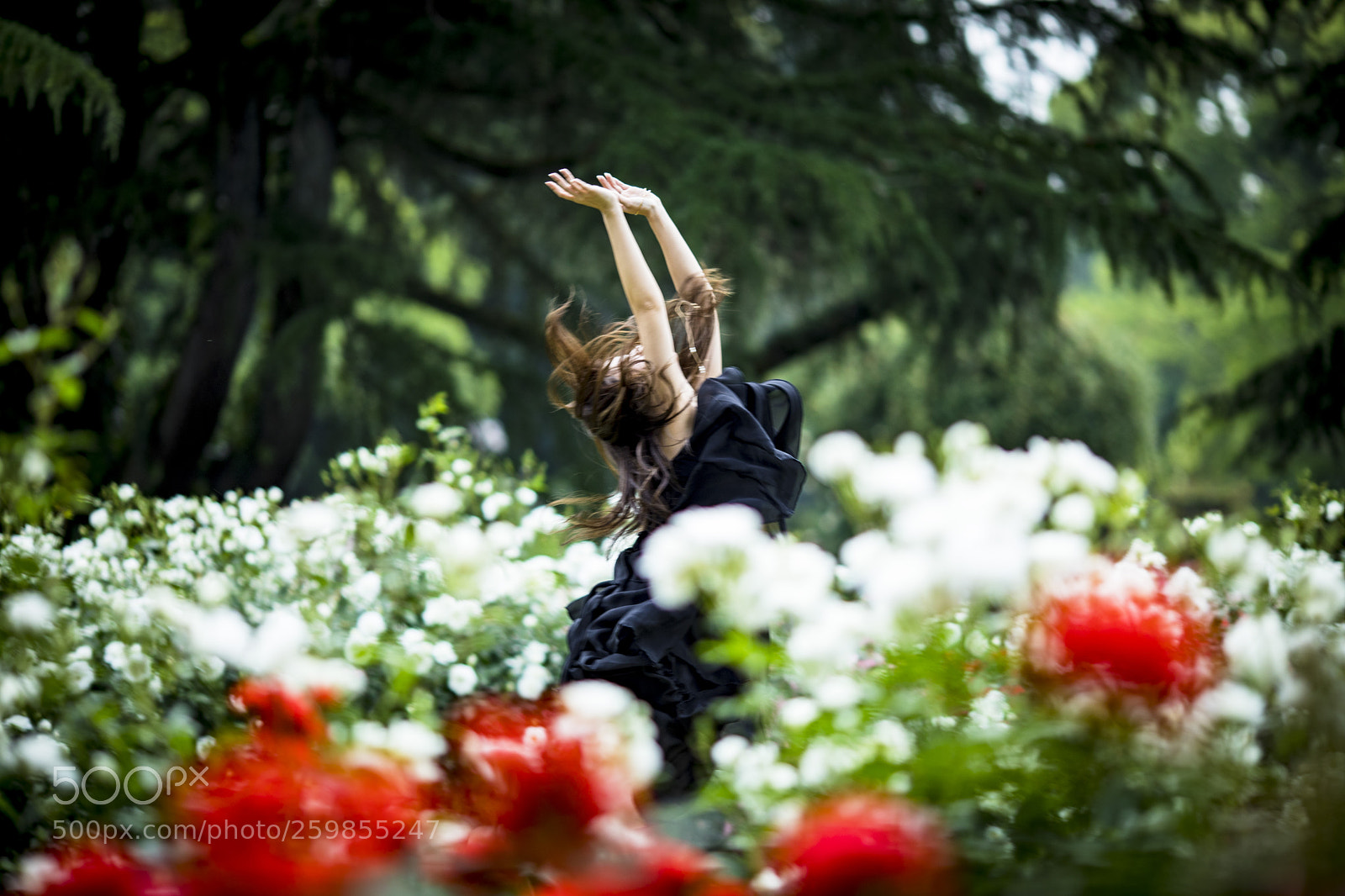 Canon EOS 5D Mark IV sample photo. 「lrefrain」 photography