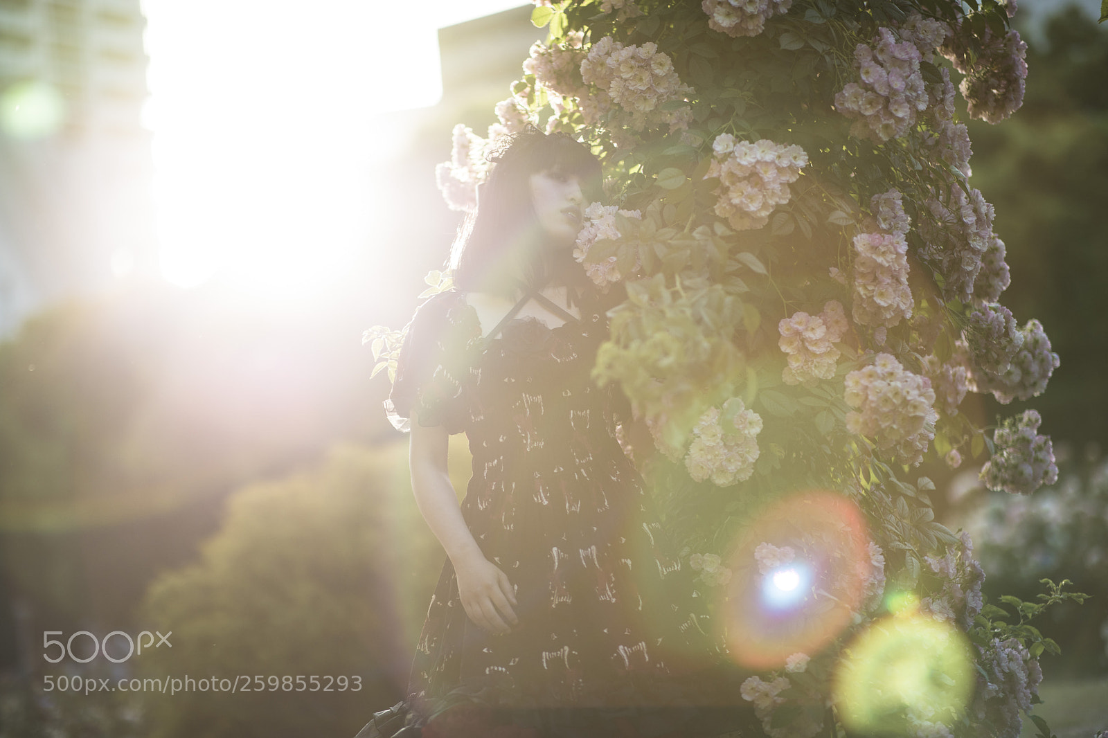 Canon EOS 5D Mark IV sample photo. Not afraid to hurt」 photography