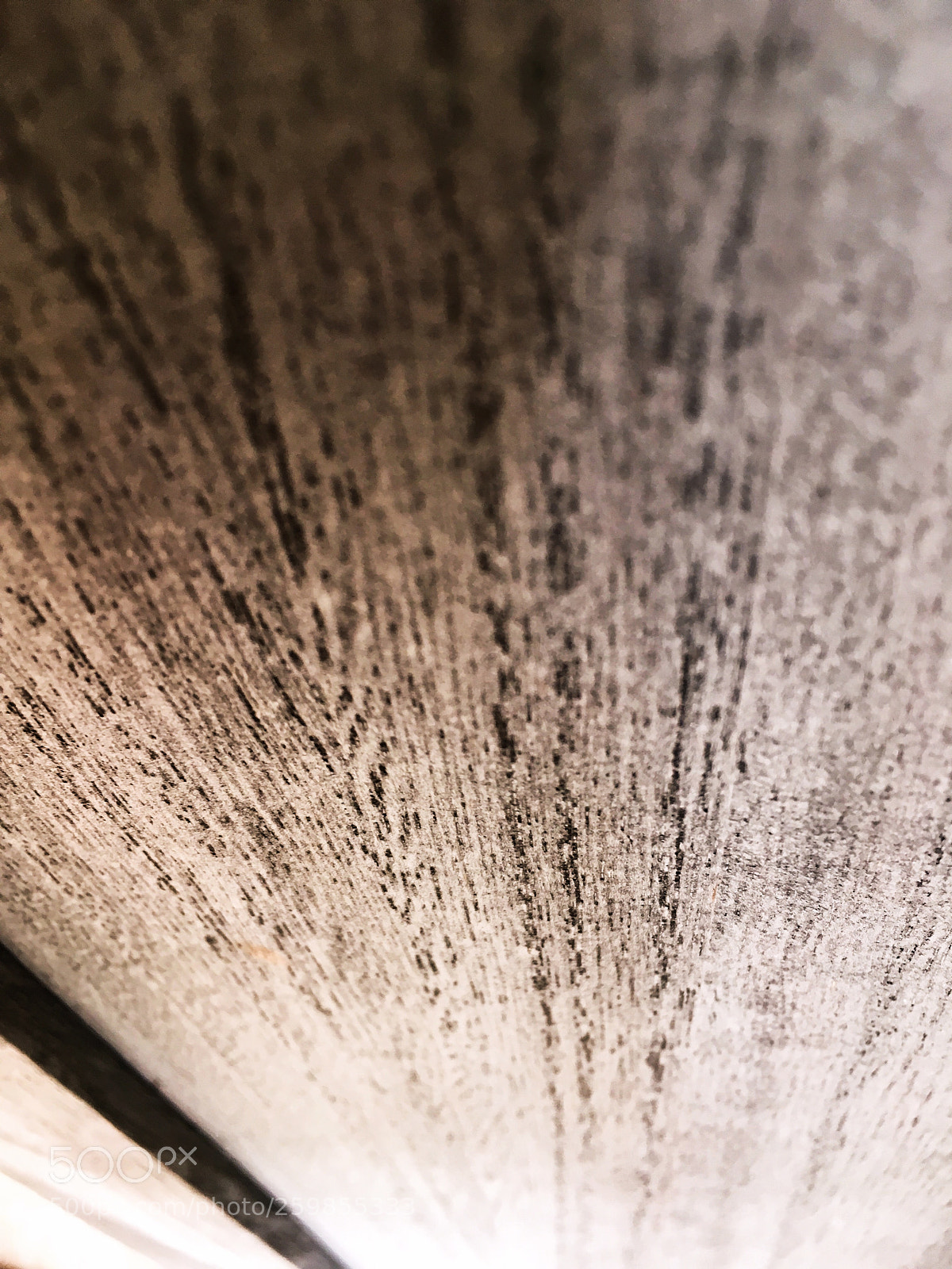 Apple iPhone SE sample photo. Wood photography