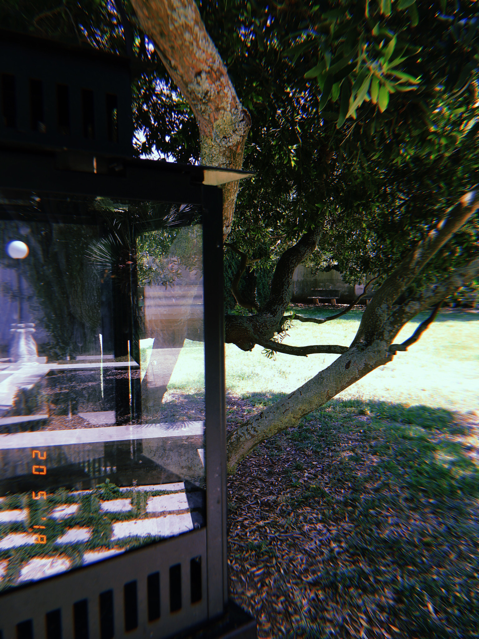Apple iPhone sample photo. Eleven  photography