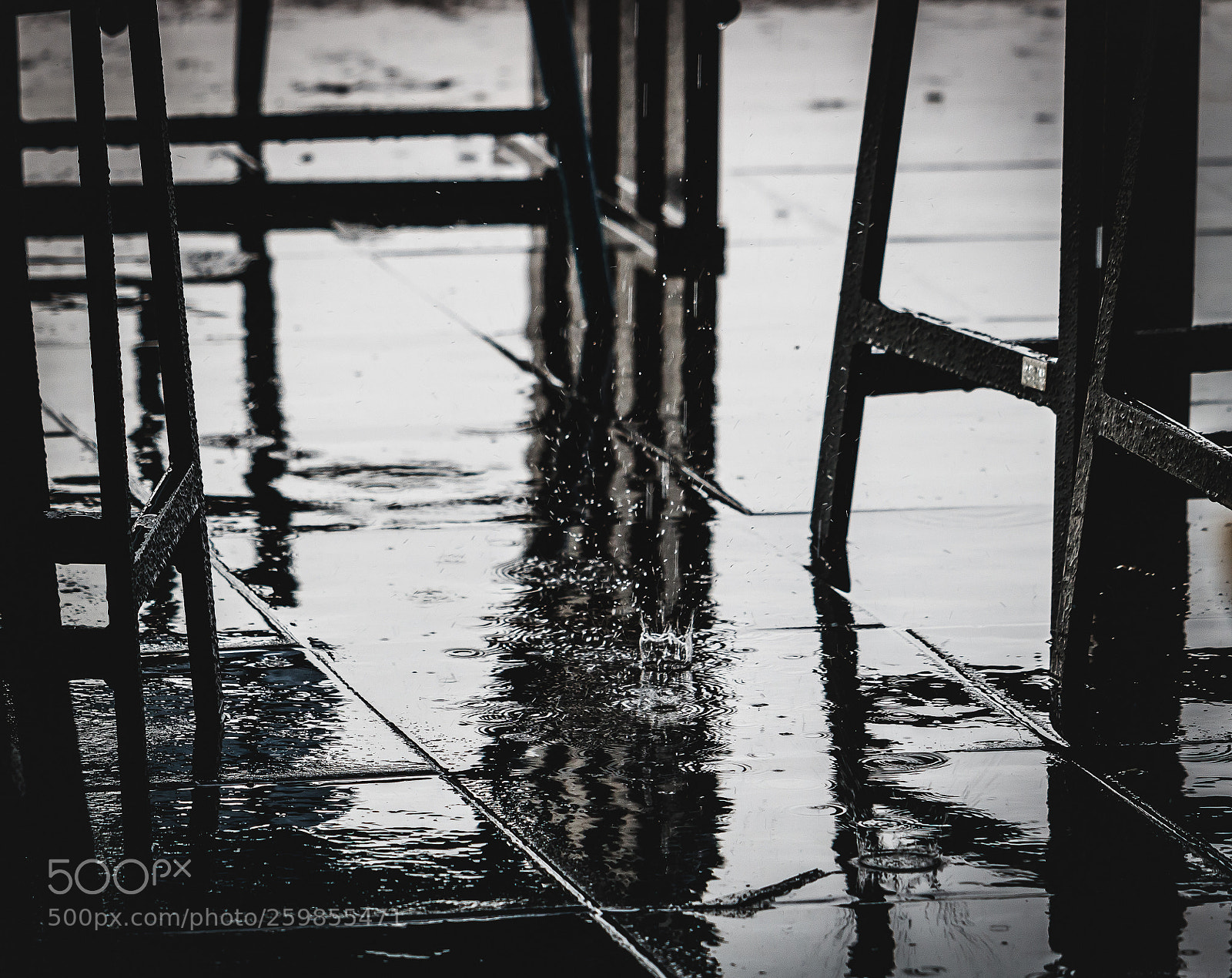 Canon EOS 750D (EOS Rebel T6i / EOS Kiss X8i) sample photo. Reflections photography