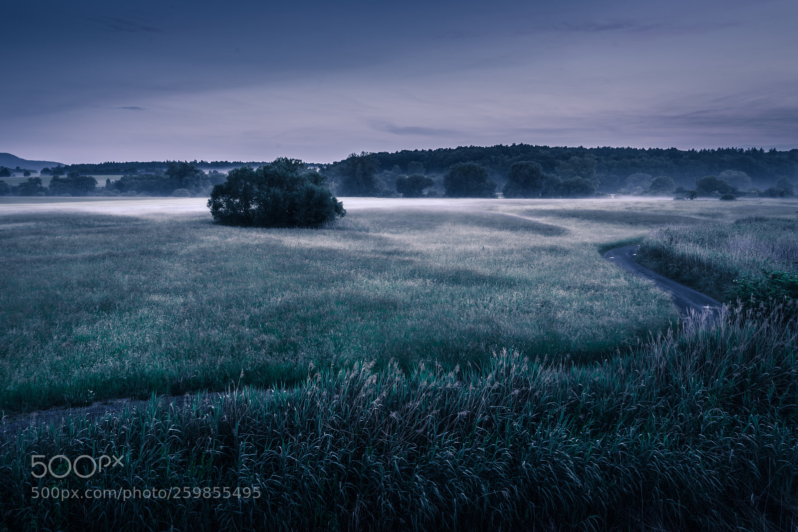 Sony a7R II sample photo. Foggy twitlight photography