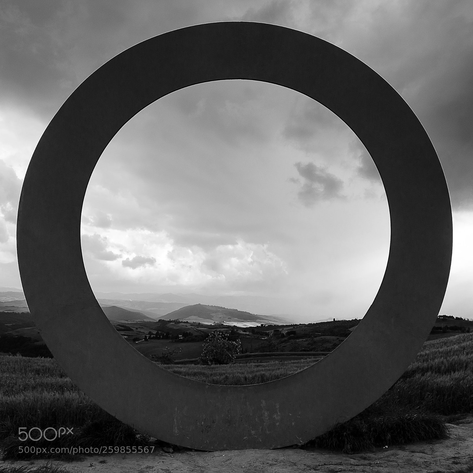 Nikon D5100 sample photo. Circle frame photography
