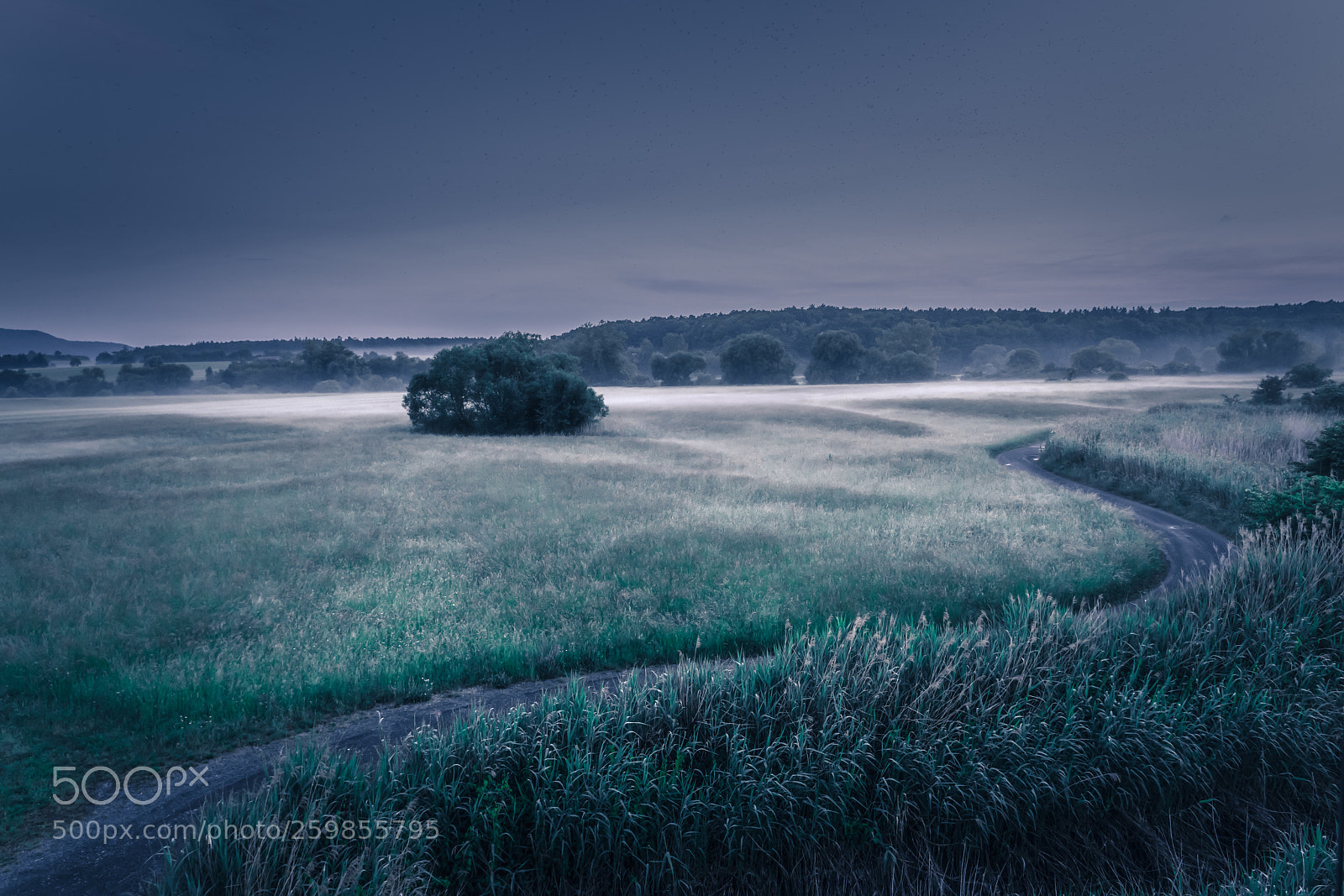 Sony a7R II sample photo. Foggy twitlight photography