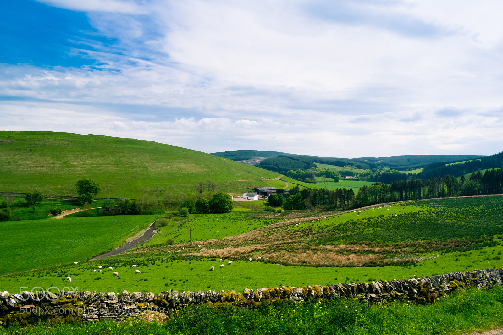 Nikon D3300 sample photo. Scottish hills photography