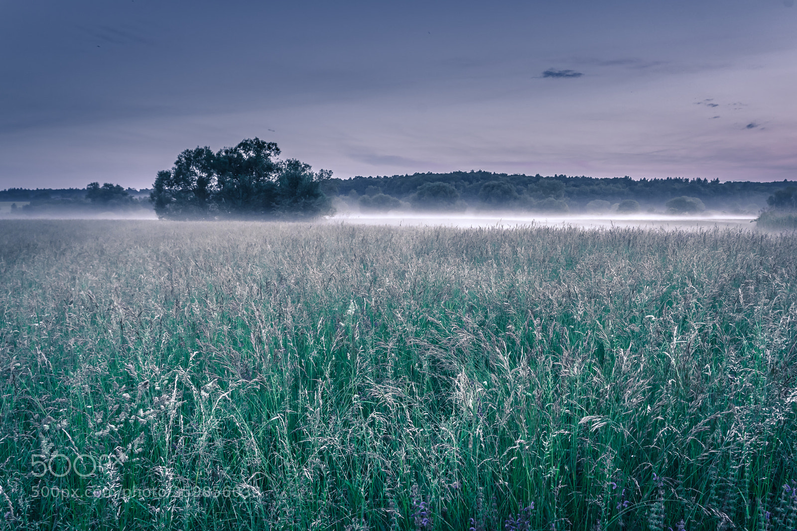 Sony a7R II sample photo. Foggy twitlight photography