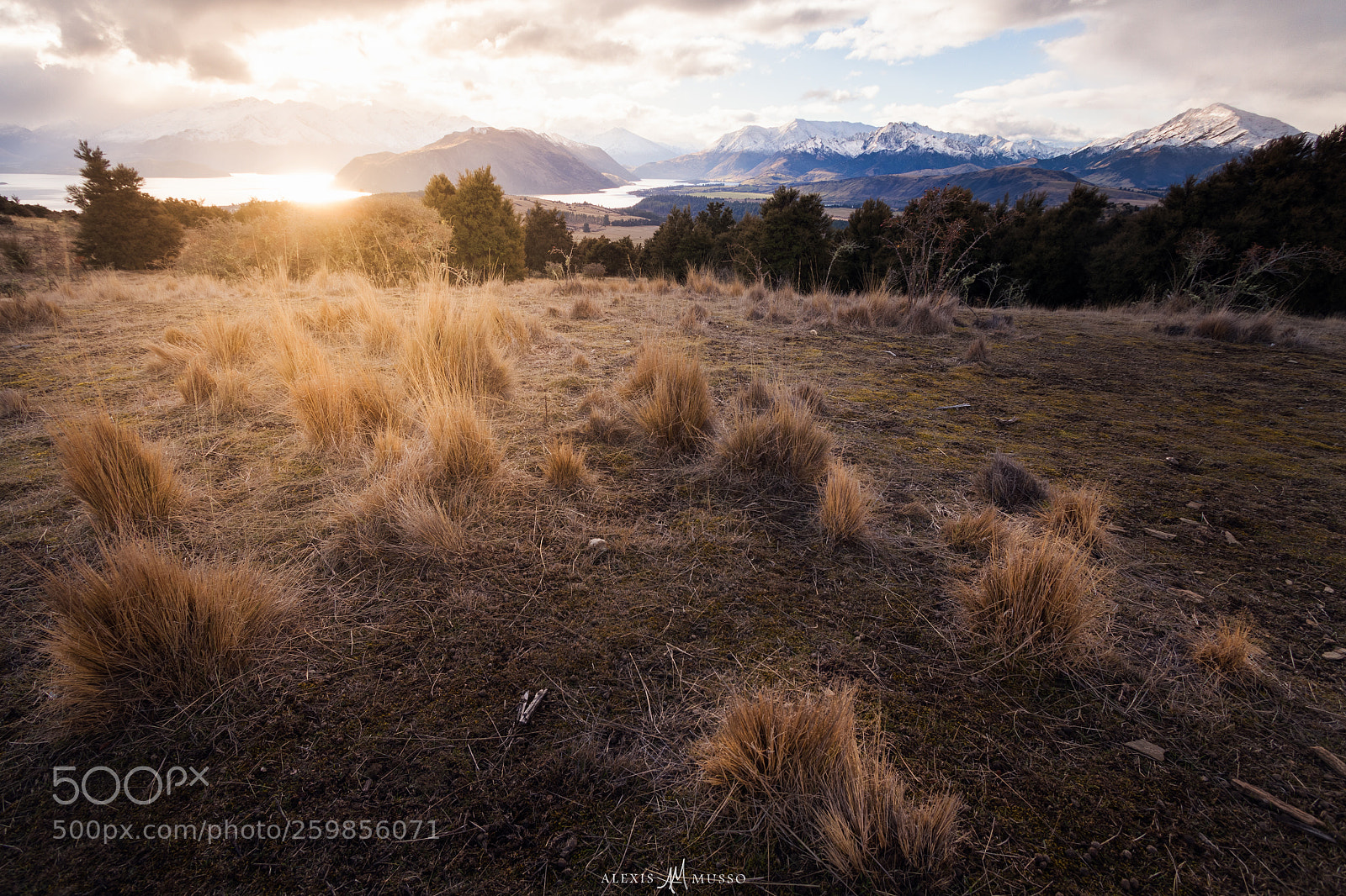 Canon EOS 50D sample photo. Golden light photography