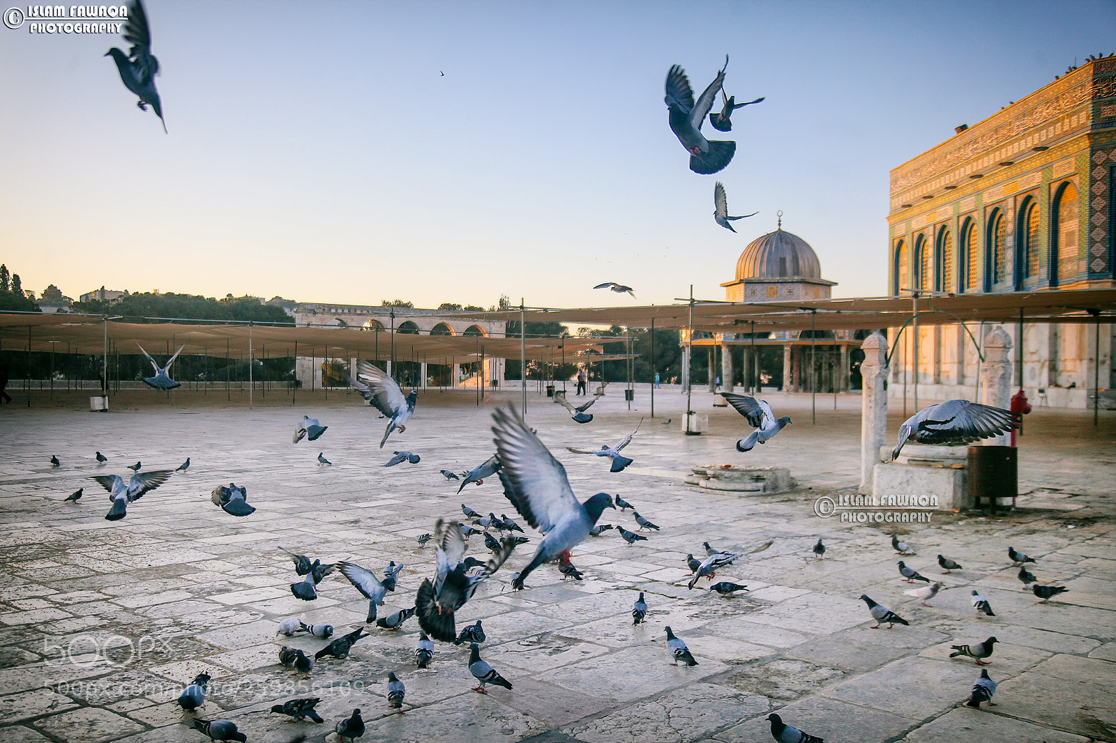 Canon EOS 5D Mark II sample photo. The dome of the photography