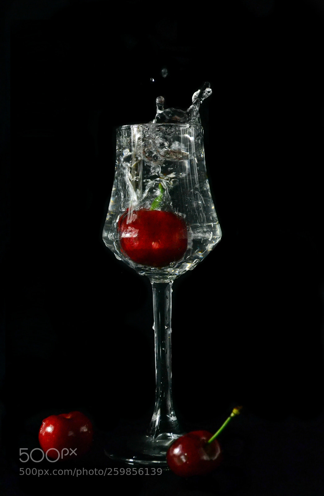 Nikon D3100 sample photo. Red photography