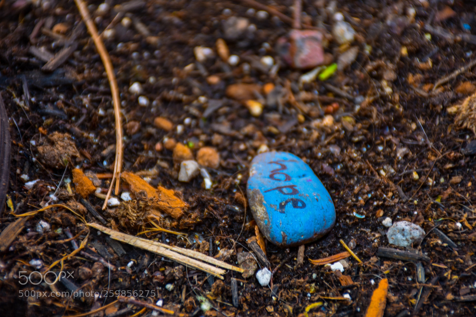 Nikon D7200 sample photo. ~hope~ photography