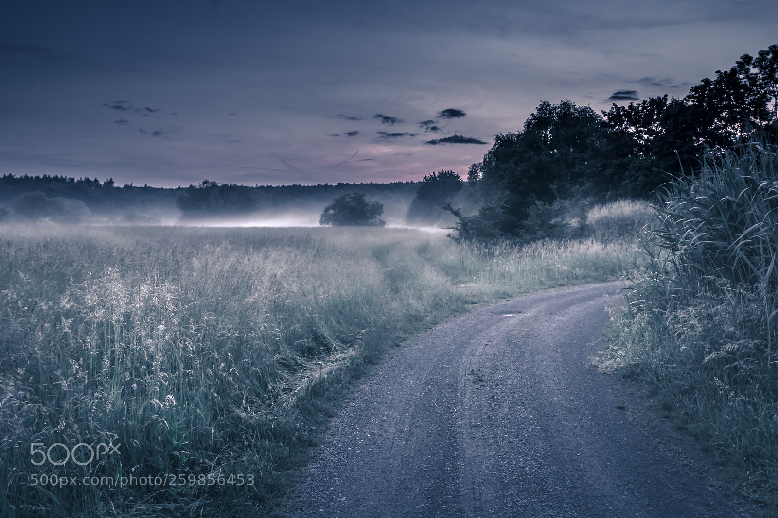 Sony a7R II sample photo. Foggy twitlight photography