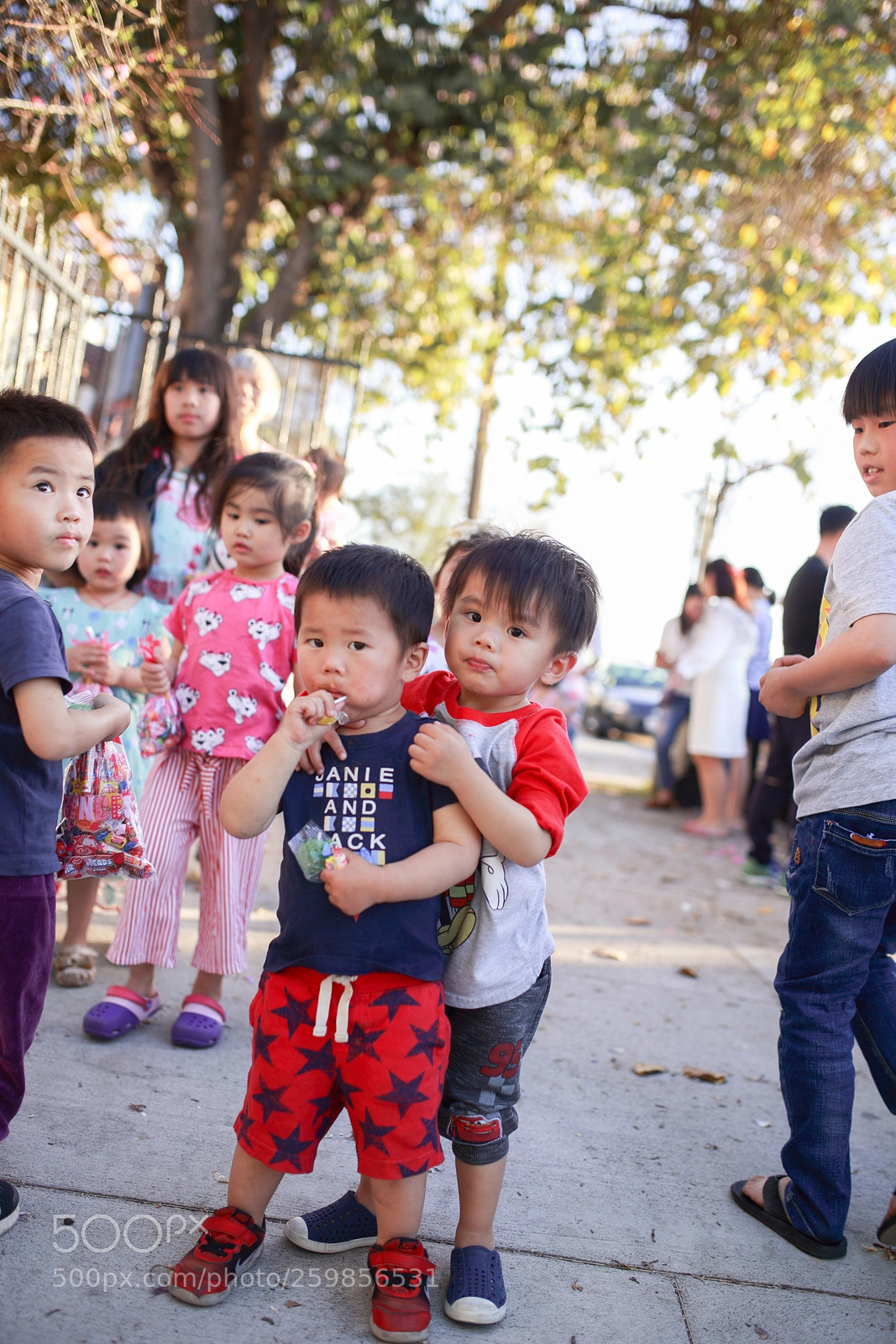 Canon EOS-1D X sample photo. Hq photography