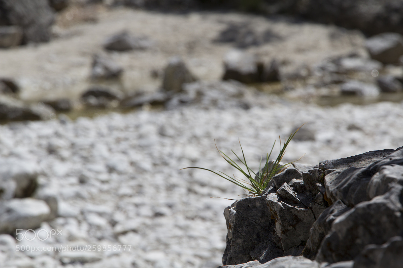 Canon EOS 600D (Rebel EOS T3i / EOS Kiss X5) sample photo. Rock with a view photography