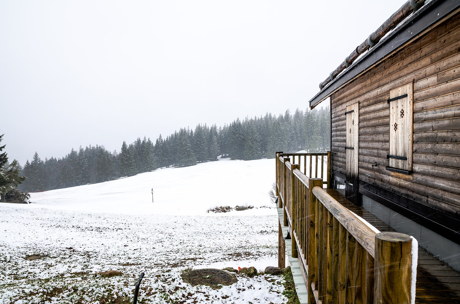 Nikon D7000 sample photo. Massif des vosges photography