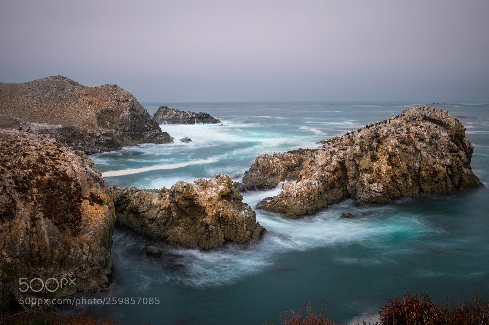 Fujifilm X-T1 sample photo. Point lobos vii photography