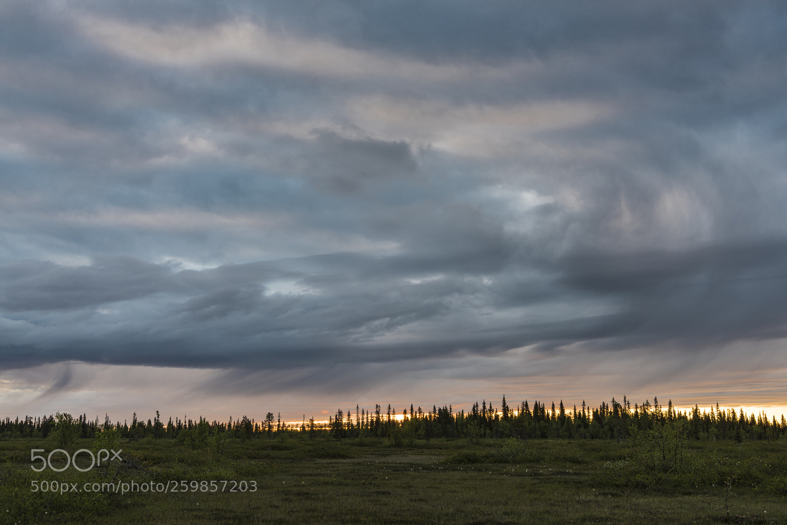 Nikon D810 sample photo. Rainy summer night photography